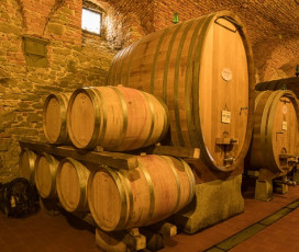 A Look At The Cellar - Vignamaggio 